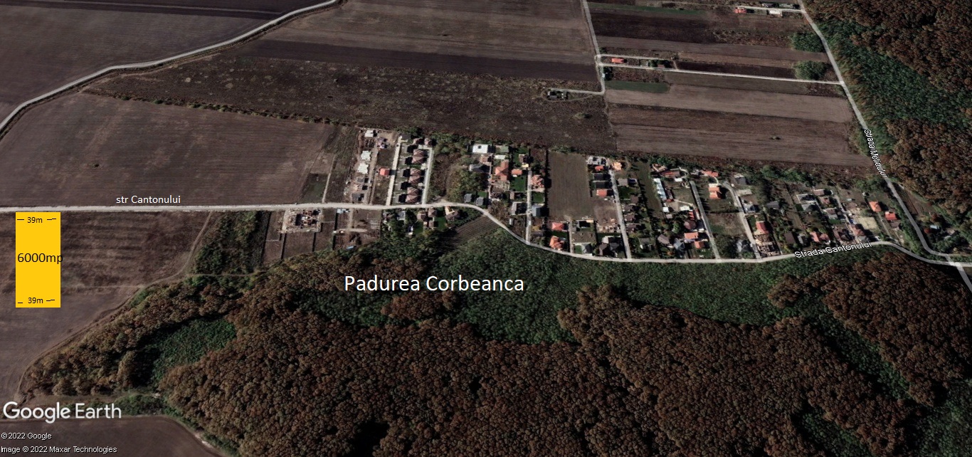 Teren Corbeanca str Cantonului 6000 mp la sosea
