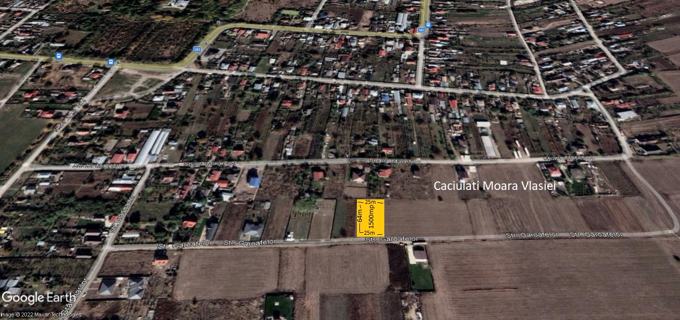 Teren Caciulati Moara Vlasiei 1500 mp intravilan str Garoafelor