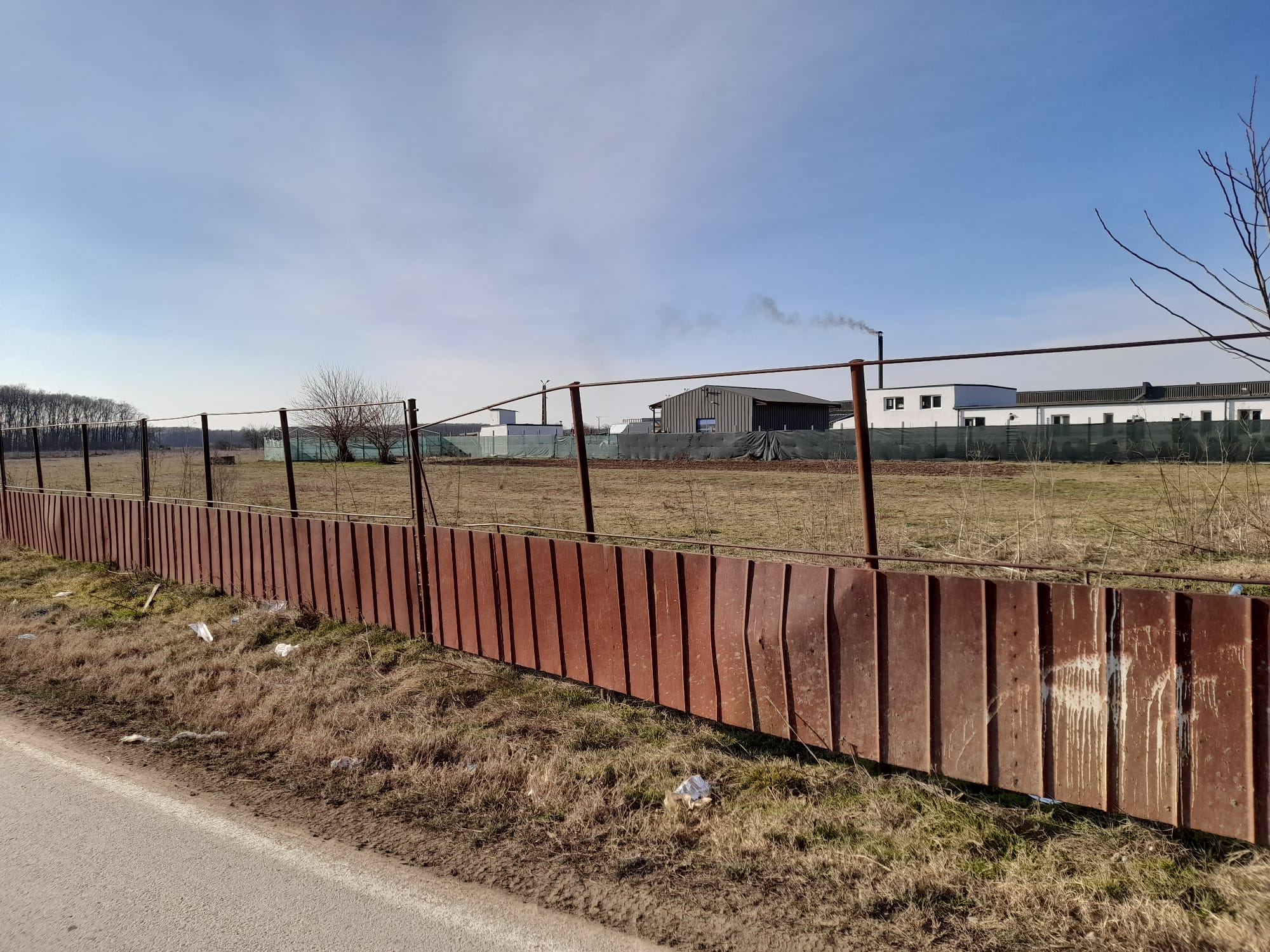 Teren Dascalu str Plevnei 1 Ha Industrial