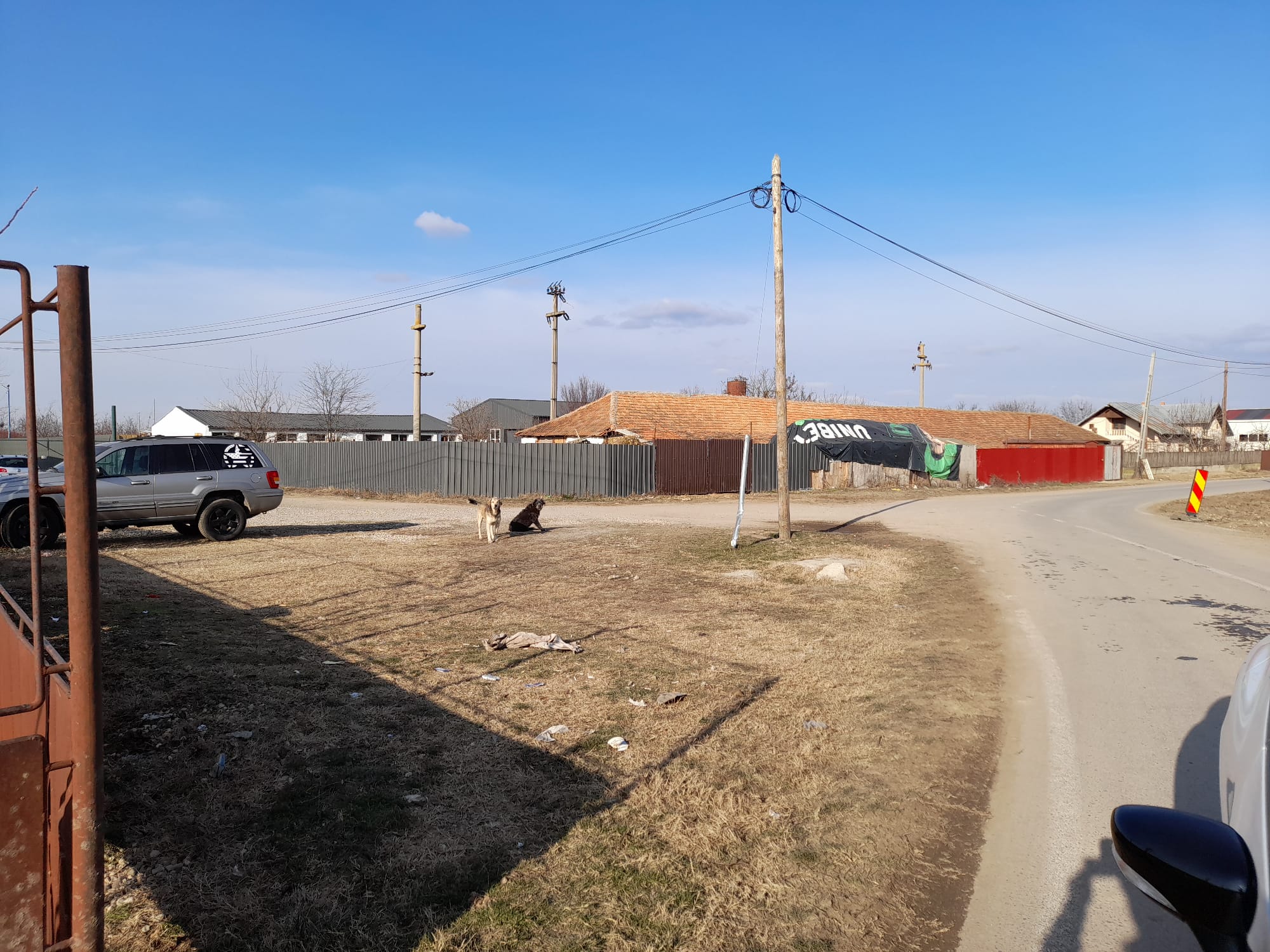 Teren Dascalu str Plevnei 1 Ha Industrial