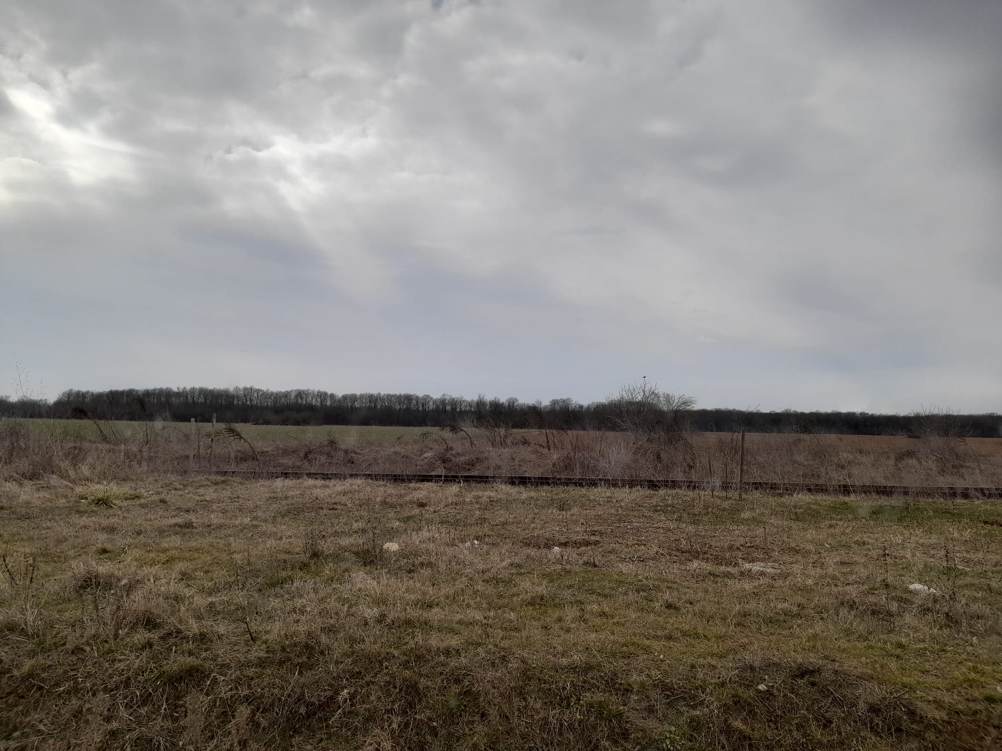 Teren Nod Autostrada A3 Moara Vlasiei 14 Ha apropiere case si padure