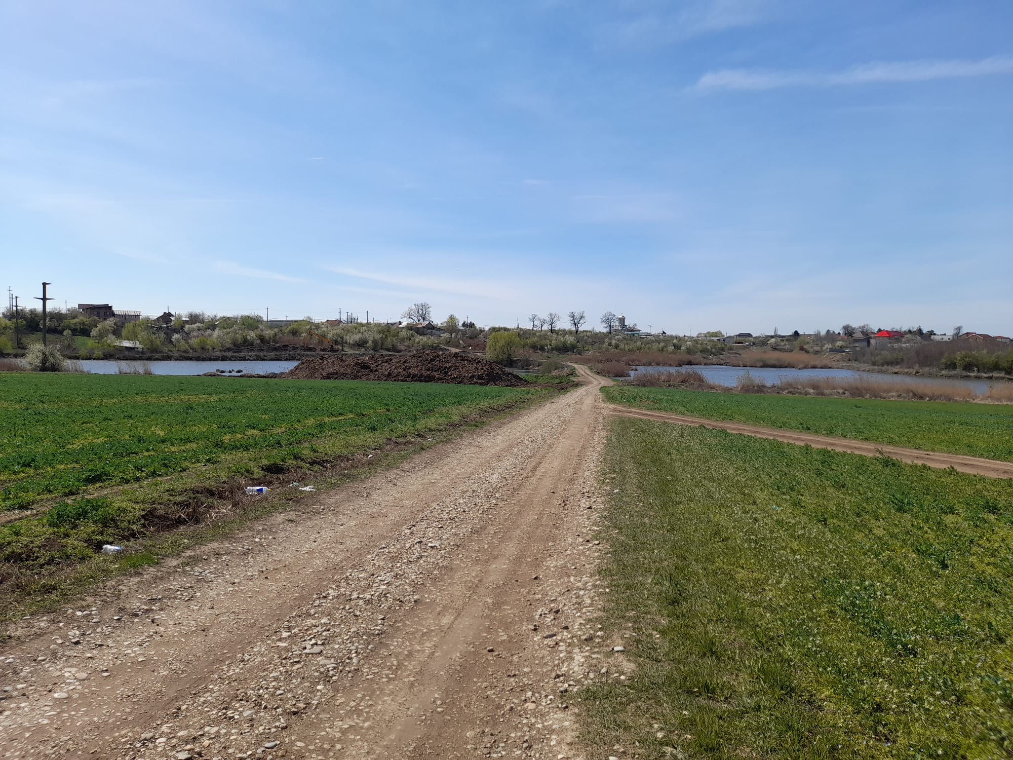Teren Lac Balotesti Saftica 1 Ha intravilan lotizat