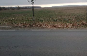 IMG-20221118-WA0001-1