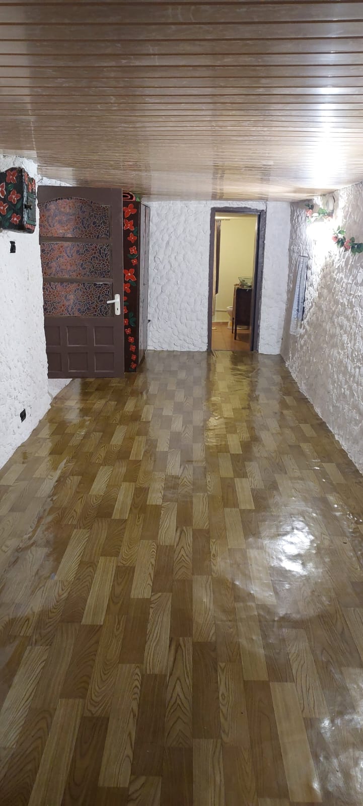 Vand casa Putineiu/Giurgiu