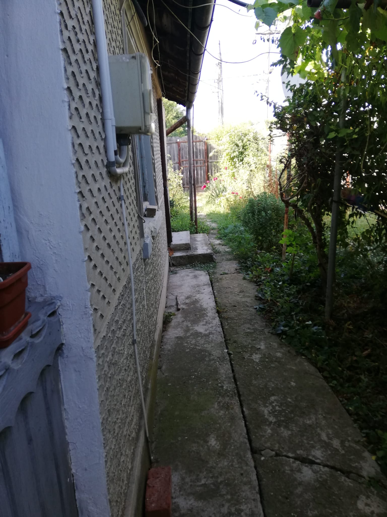 Casa și curte la țară în Bărcănești, jud Ialomița