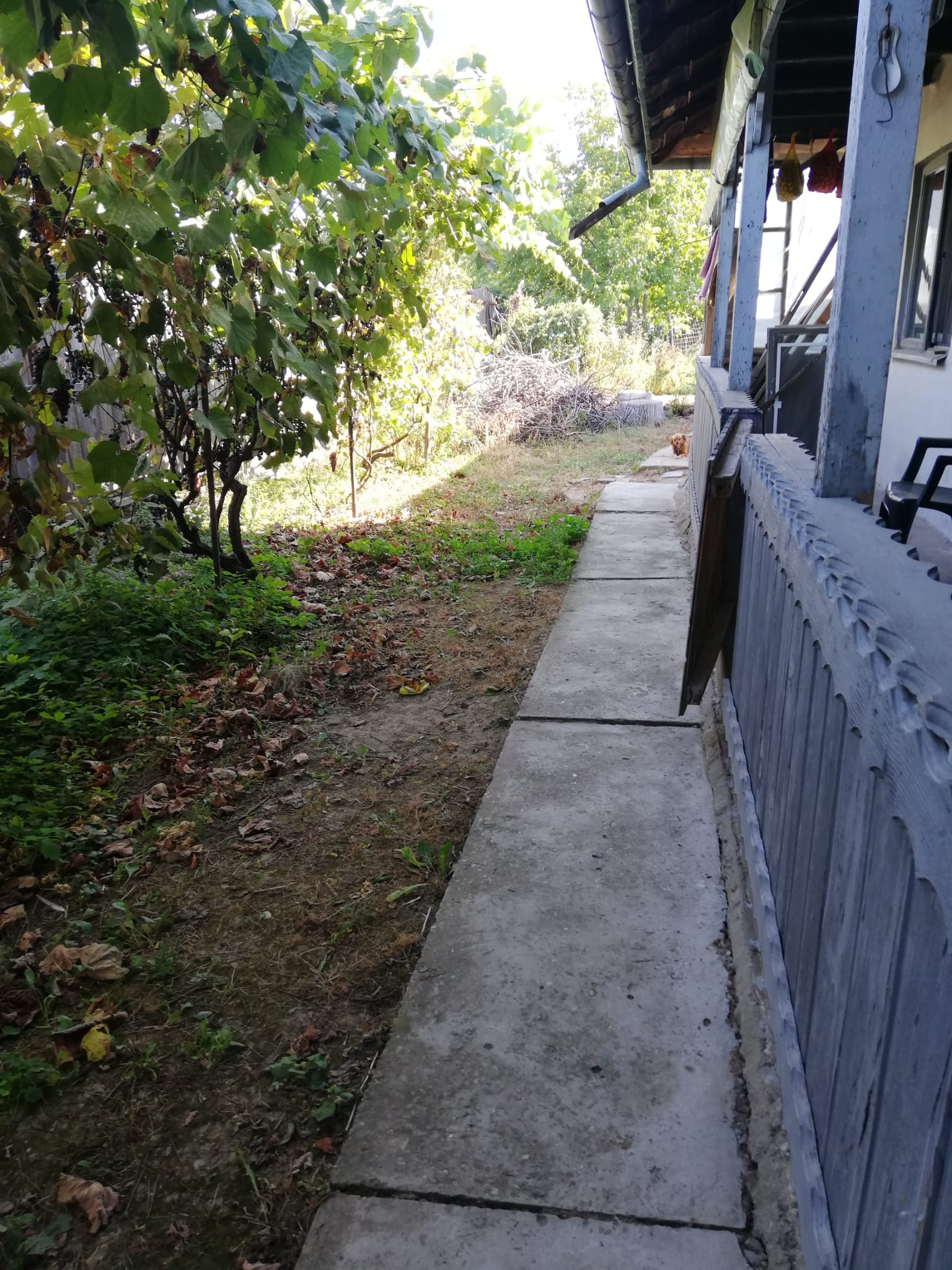 Casa și curte la țară în Bărcănești, jud Ialomița