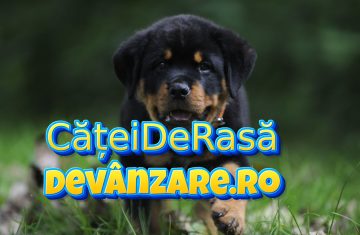 Rottweiler-Logo