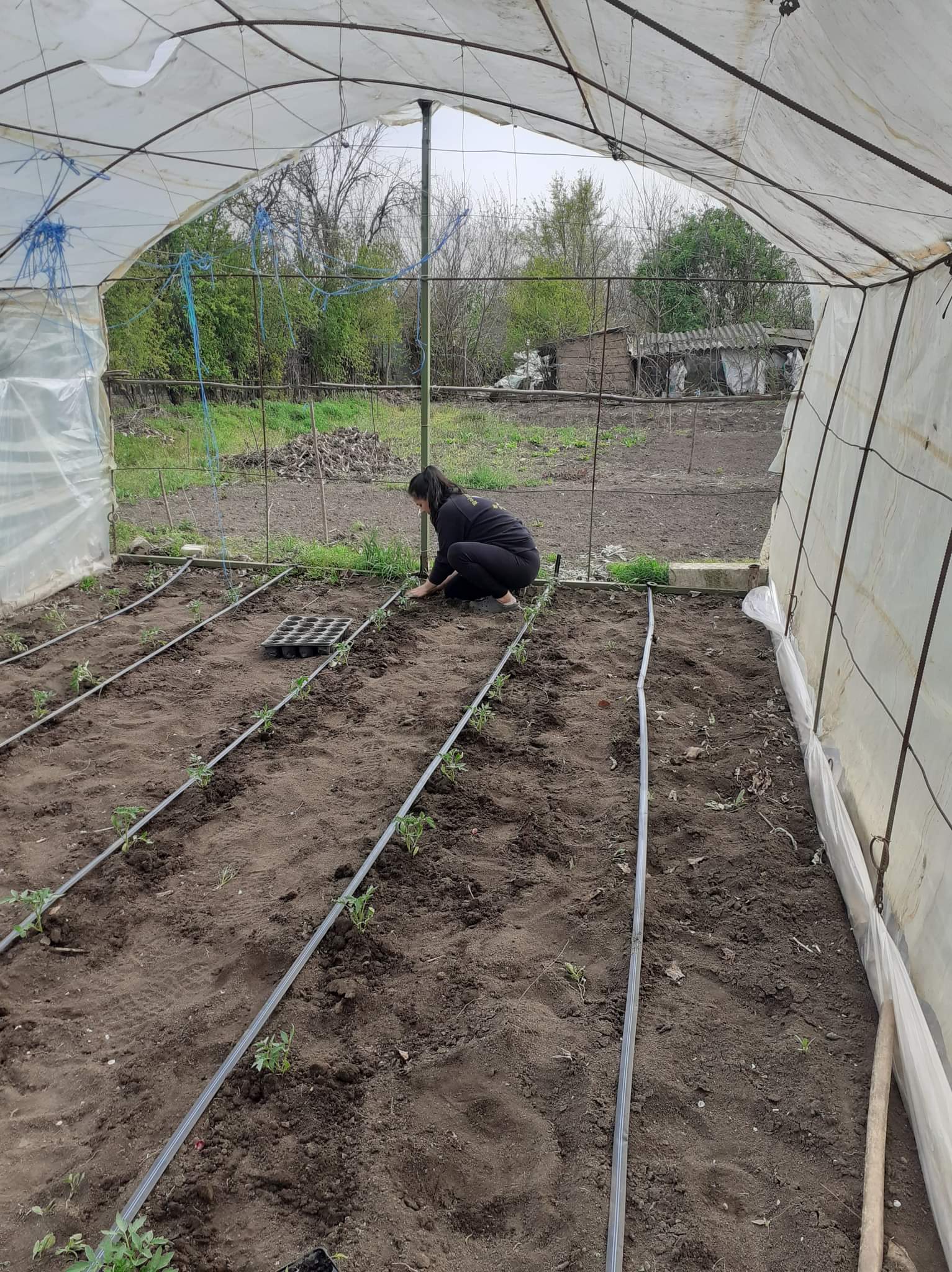 Vand casa Putineiu/Giurgiu