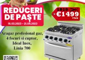 REDUCERI DE PASTE LA ARAGAZE PROFESIONALE PENTRU RESTAURANT, FAST-FOOD