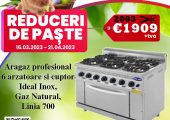 REDUCERI DE PASTE LA ARAGAZE PROFESIONALE PENTRU RESTAURANT, FAST-FOOD