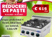 REDUCERI DE PASTE LA ARAGAZE PROFESIONALE PENTRU RESTAURANT, FAST-FOOD