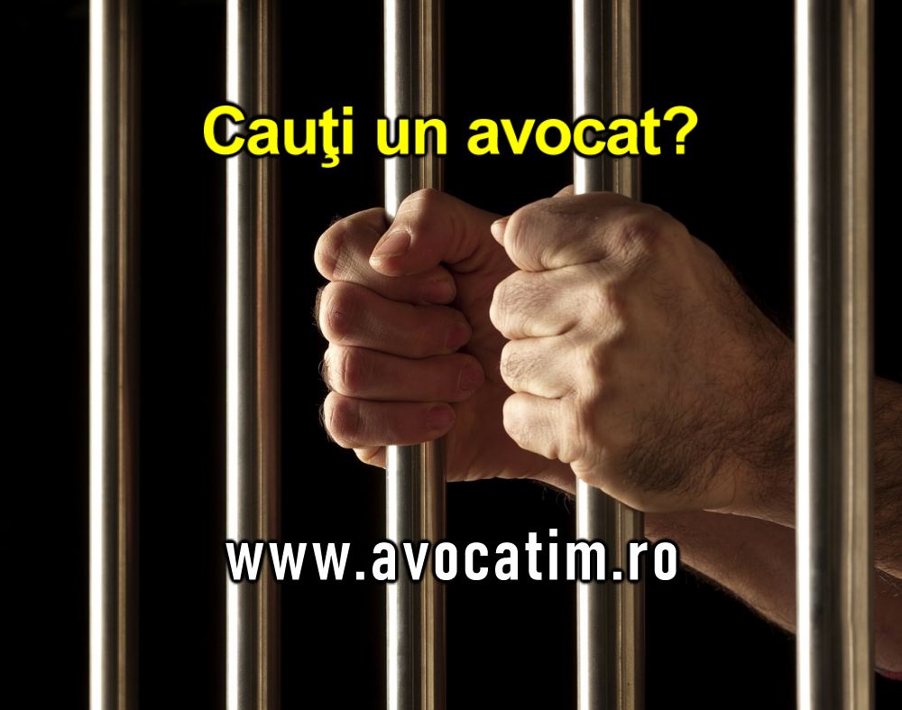 Avocat Timisoara – traducatori, mediatori, notari, executori, juristi…