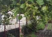 CASA DE VANZARE COMUNA OLARI, SAT FINARI, PRAHOVA