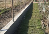 Tencuiela mecanizata clasica nisip ciment