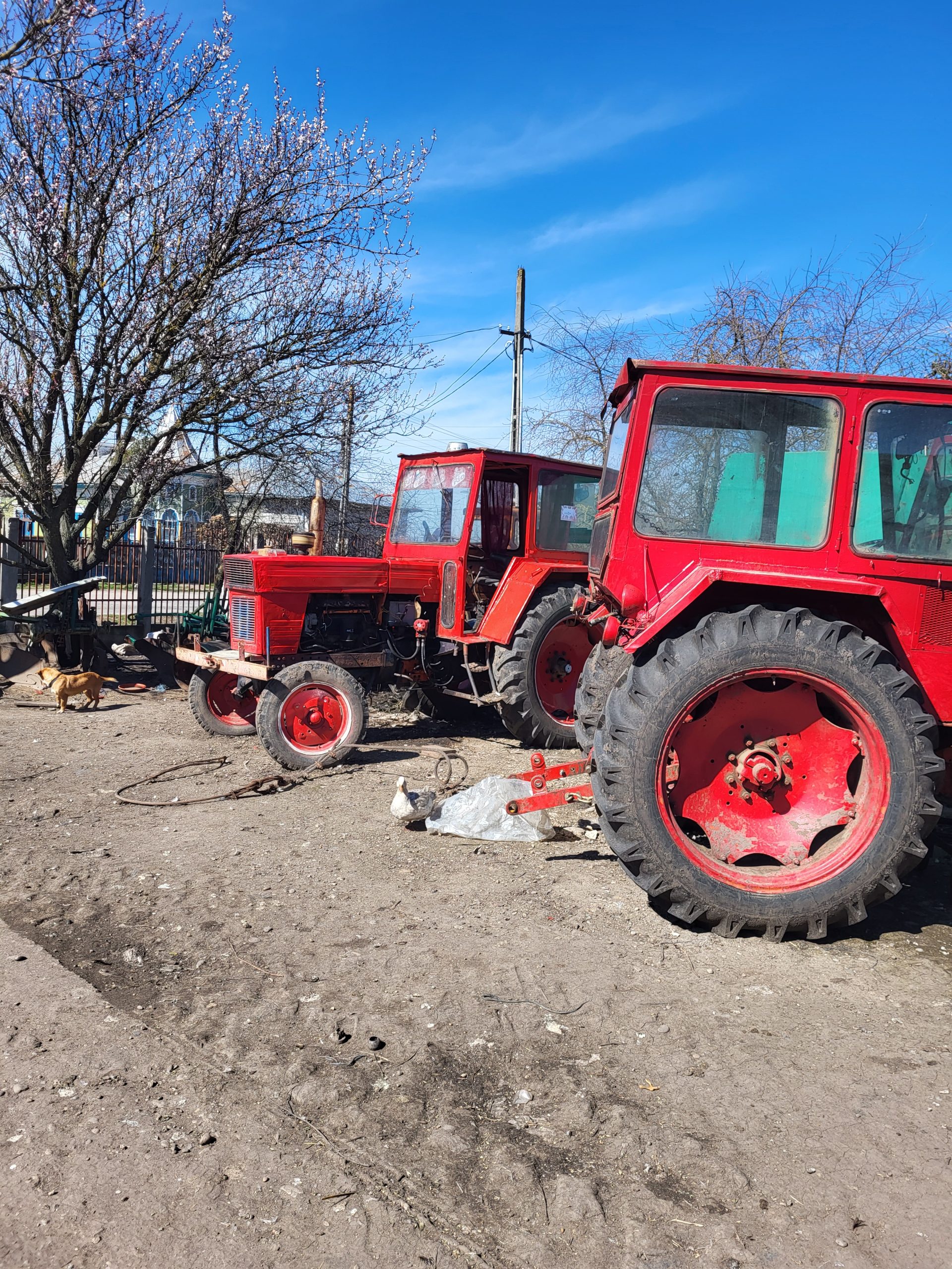 Vând tractor u 650