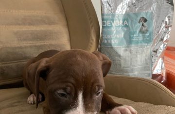 2FA111EE-CF36-4D60-9A15-21AD3C0E0F55