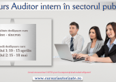 Curs online autorizat Auditor intern în sectorul public