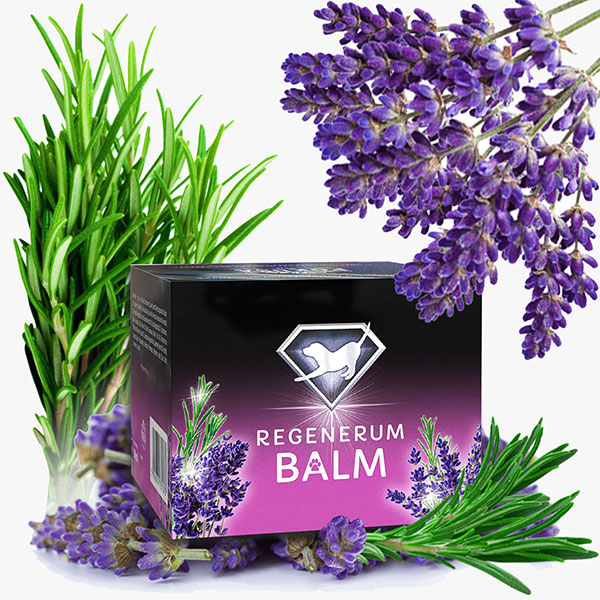 Balsam natural pentru protejare si regenerare nas si labute caini DiamondCoat Regenerum Balm 50 ml
