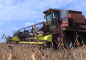 Accesoriul “Ettaro” este utilizat pentru recoltarea de soia 5-10.5m