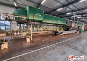 Muncitori în producția de flori în Olanda