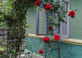Casa in Satul BALACIU Judetul Ialomita