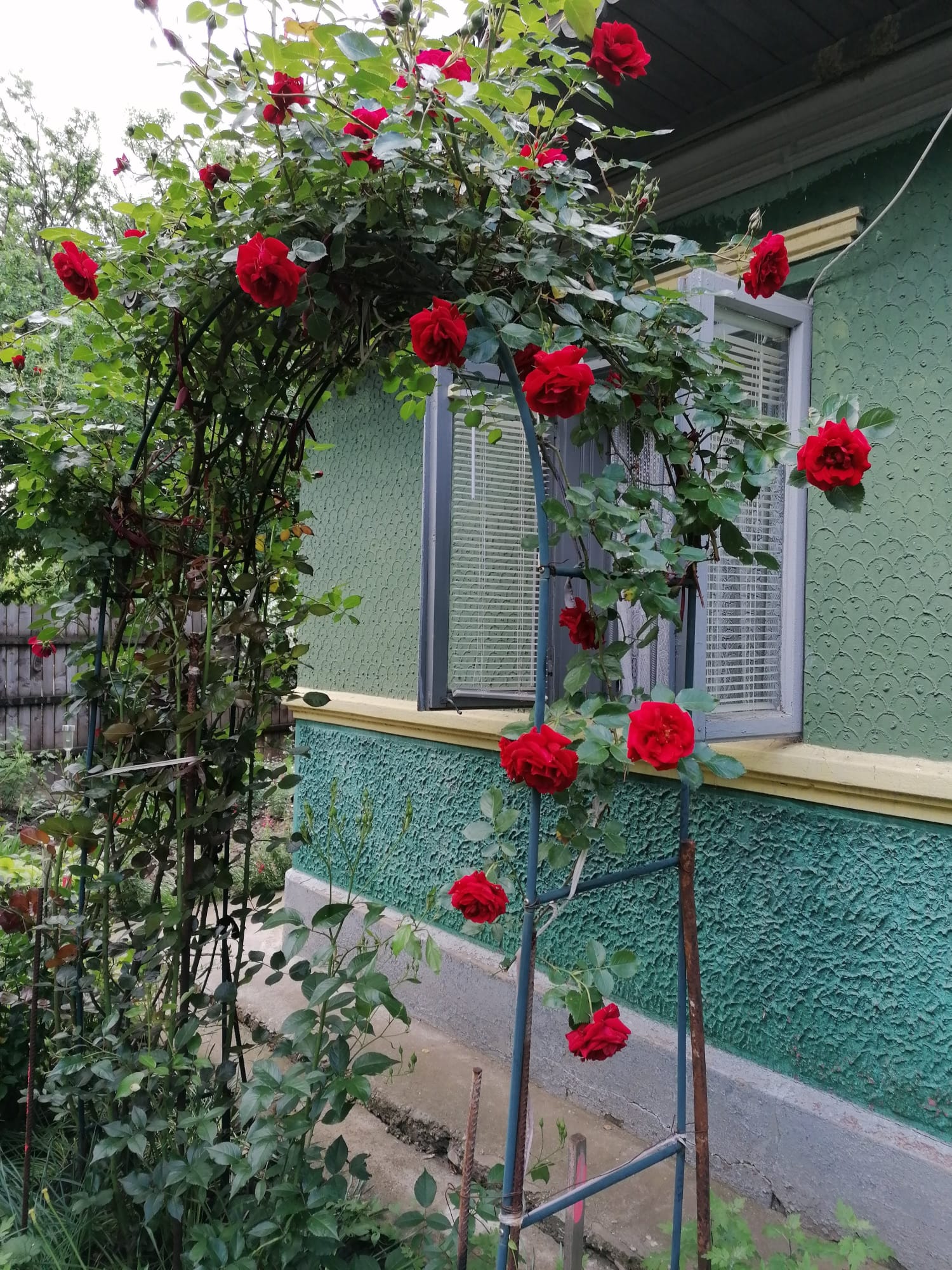 Casa in Satul BALACIU Judetul Ialomita