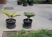 Vand Convenabil Casa din Caramida, direct PROPRIETAR!