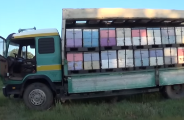 μεταφοά-μελισσιών-1038×576-1