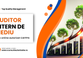 Curs online Auditor intern de mediu
