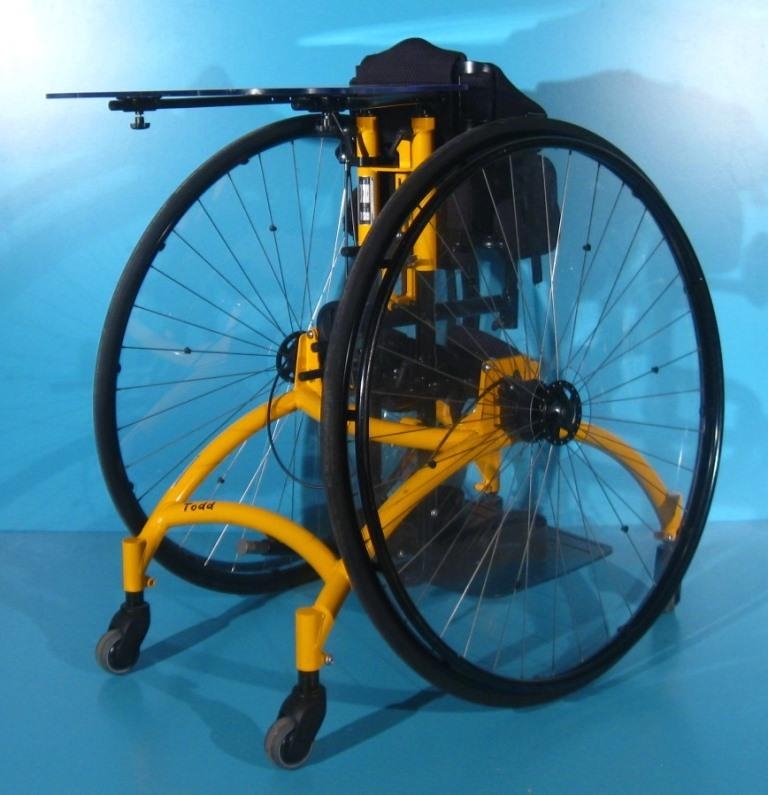 Antrenor vertical mobil handicap Schuchmann Tood
