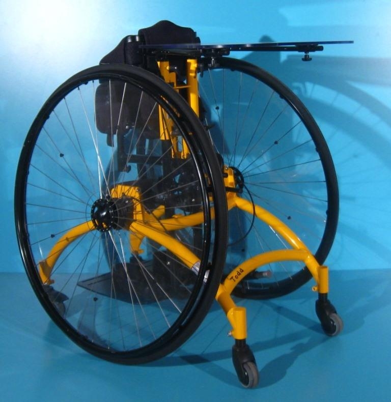 Antrenor vertical mobil handicap Schuchmann Tood