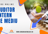 Curs Auditor Intern de Mediu
