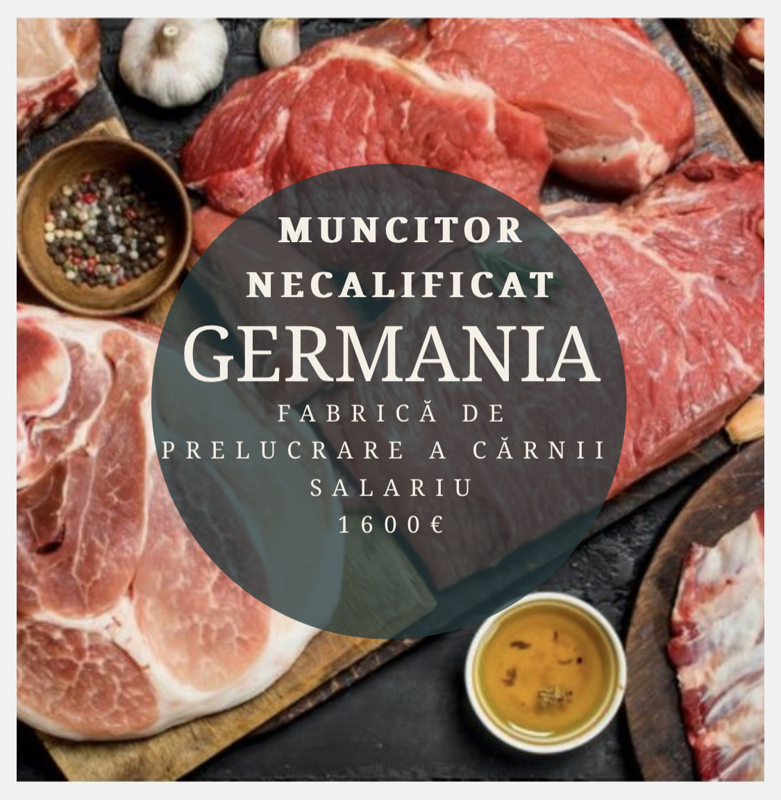 Fabrică de prelucrare a cărnii (Germania) -muncitor necalificat