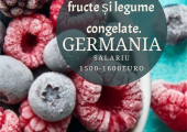 Depozit fructe și legume congelate(Germania)