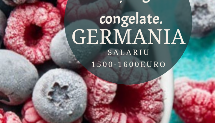 Depozit fructe și legume congelate(Germania)