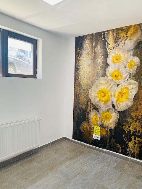 Spatiu comercial de inchiriat in M.residence