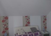 zugrav interioare,zona Tg mures