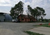 Vand plantatie de nuci si ferma