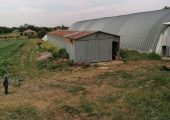 Vand plantatie de nuci si ferma