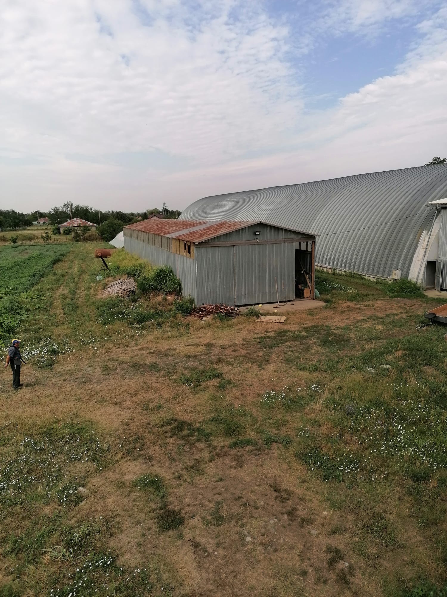 Vand plantatie de nuci si ferma