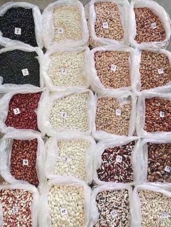 We sell commercial beans wholesale.