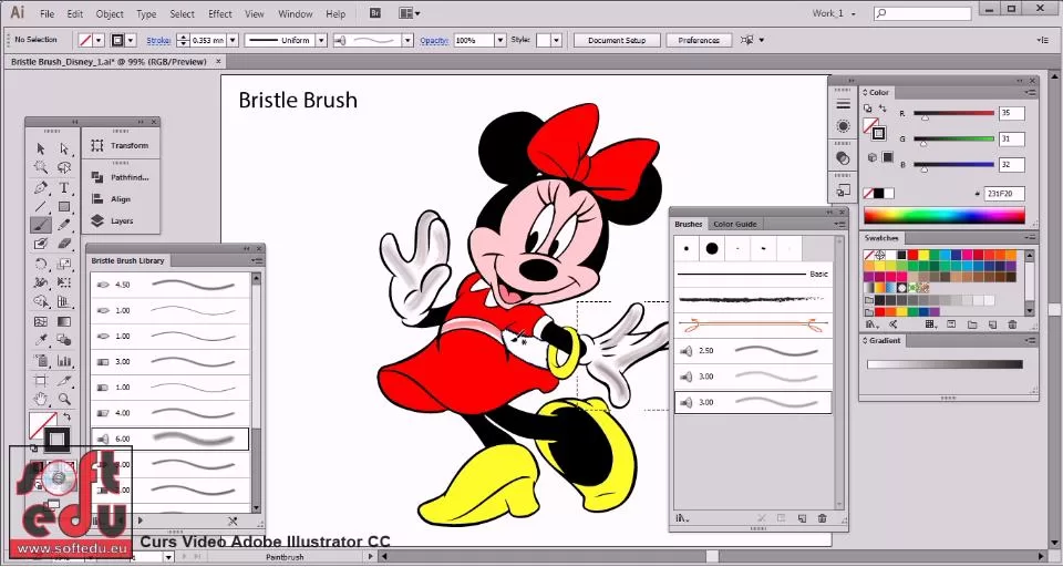Curs Adobe Illustrator, grafica vectoriala