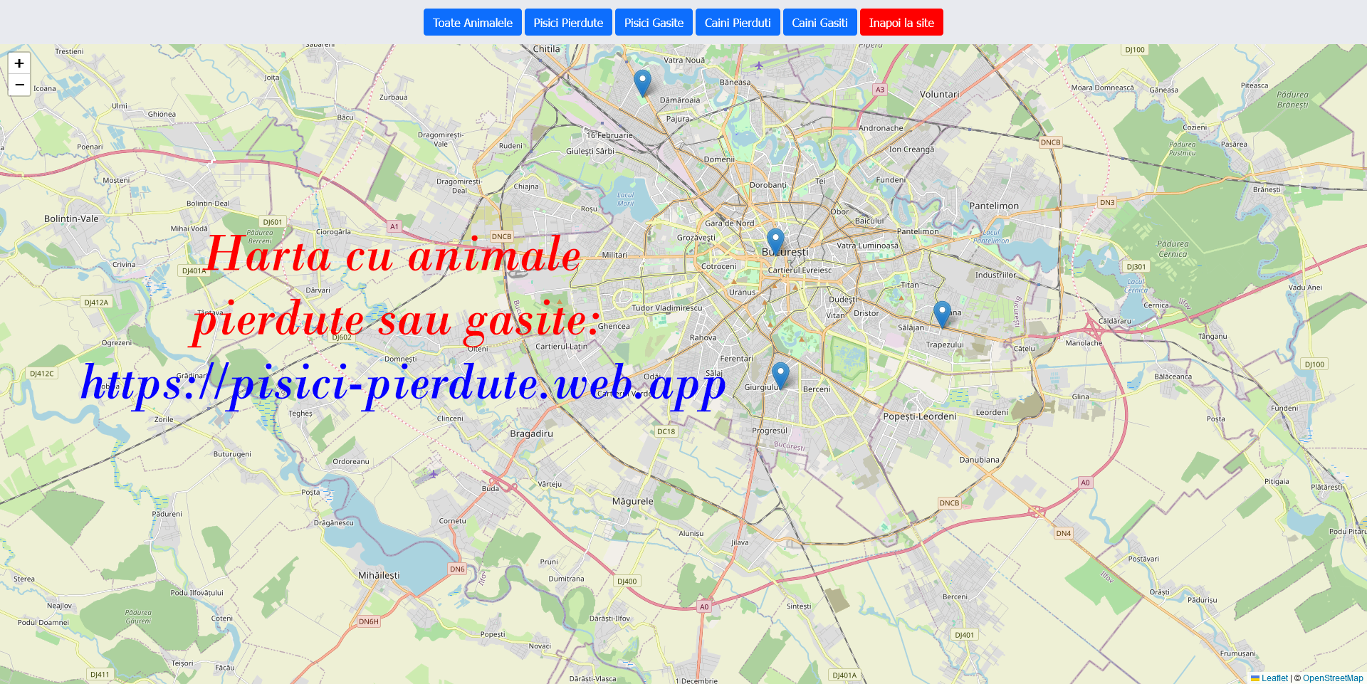 Daca ai o pierdut un animal drag mai exista o speranta