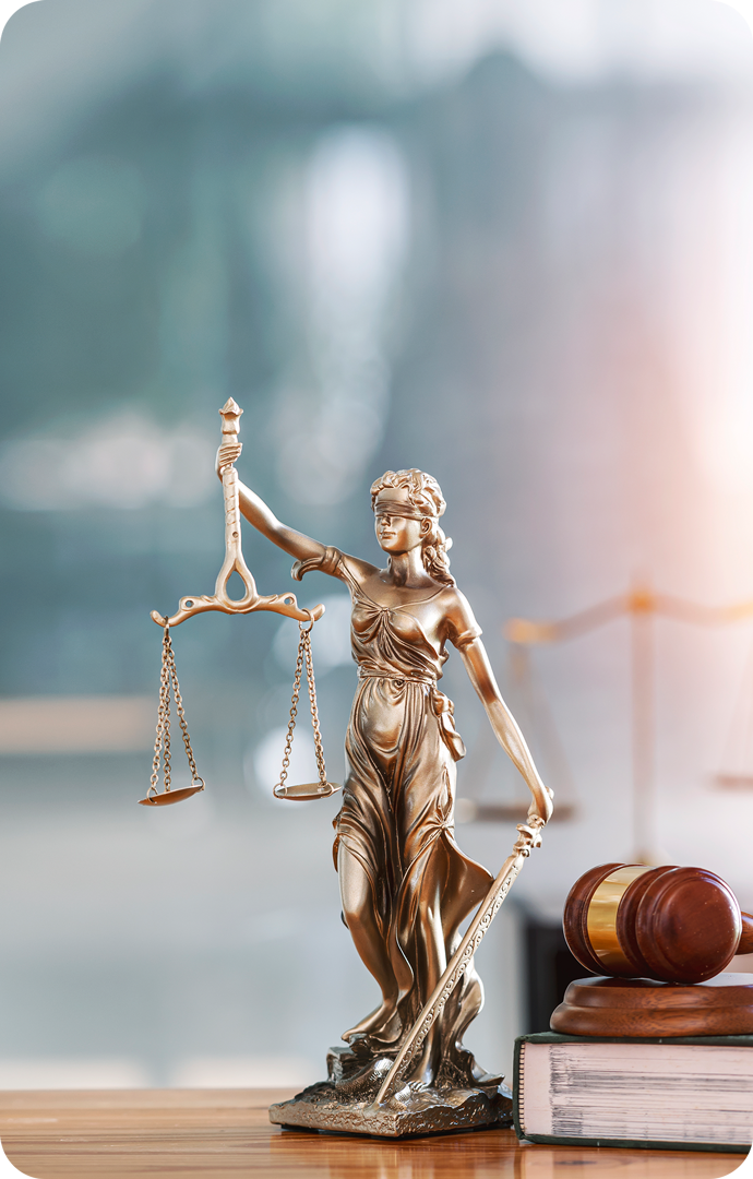 Avocat cu experienta civil/penal, 0744271251