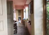 Casa cu teren la Paulis