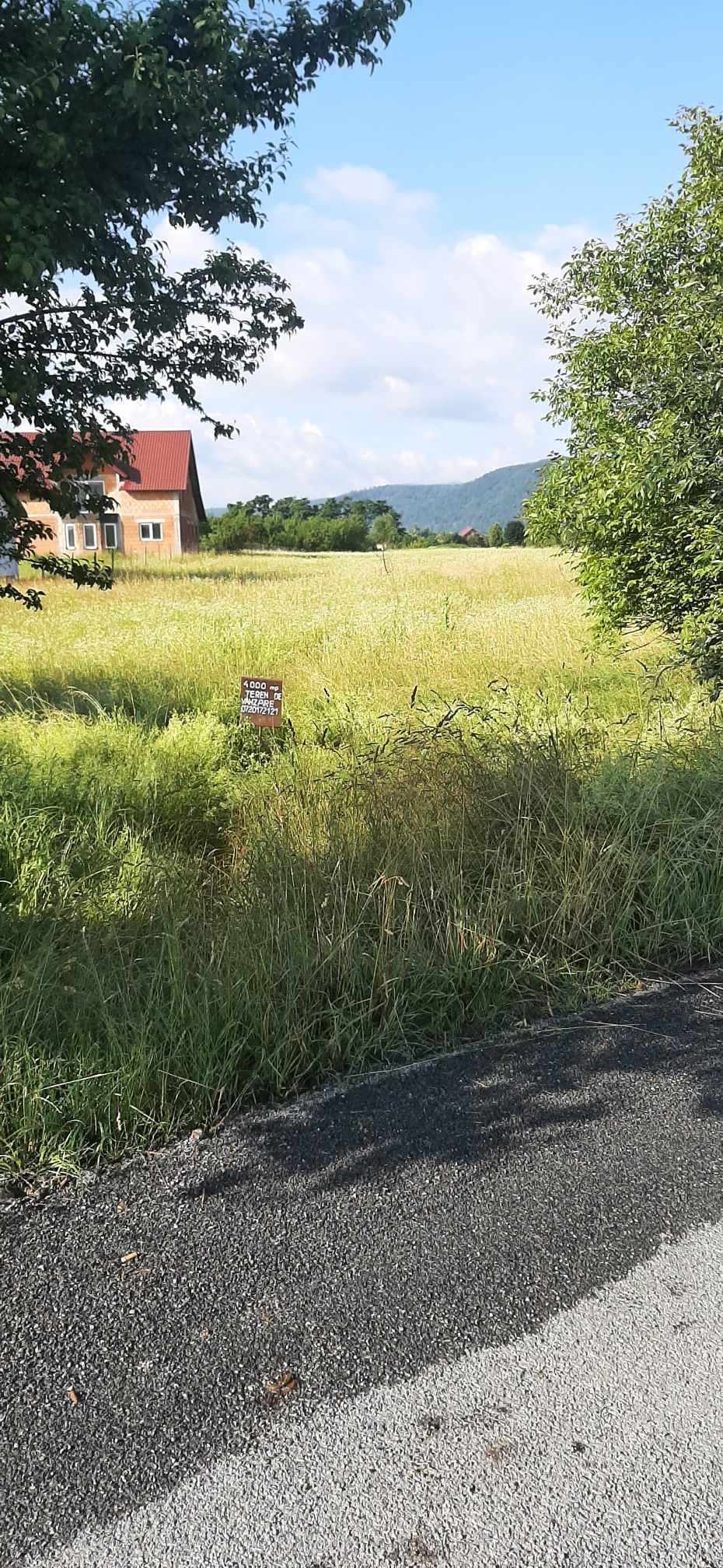 Suprafata disponibila: 4 000 mp