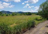 Suprafata disponibila: 4 000 mp