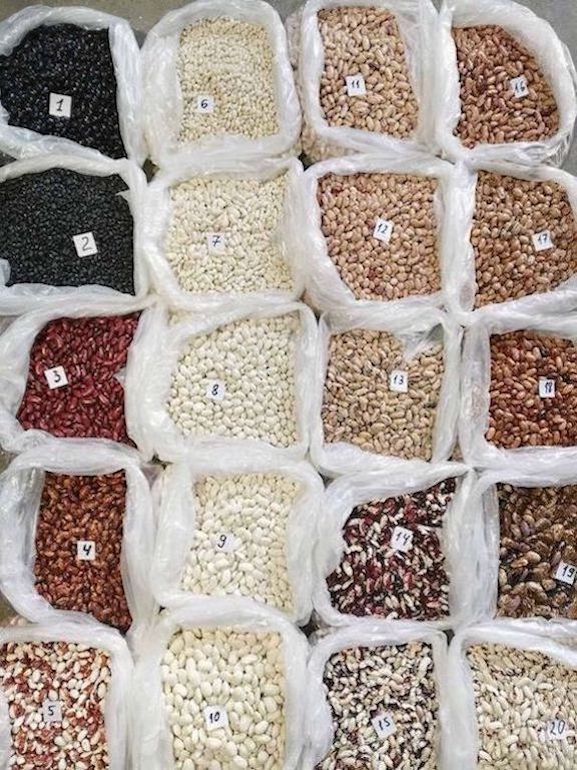 Beans Wholesale from a Ukrainian Company