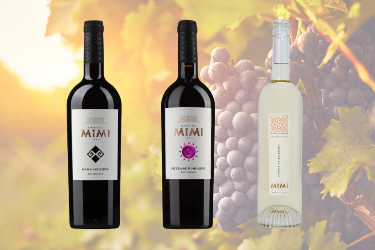Gustă vinurile Moldovei și lasă-te surprins de aromele autentice locale