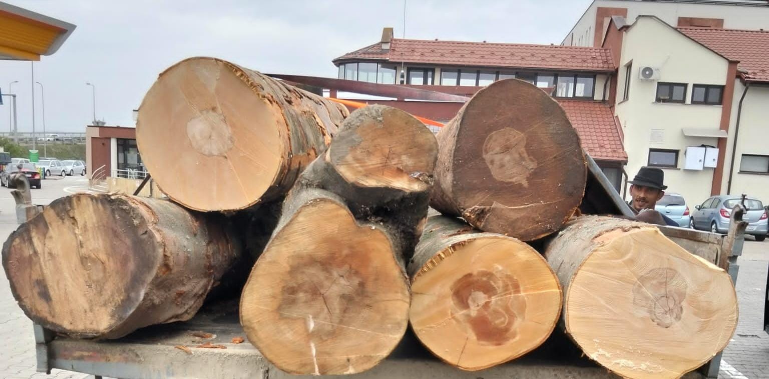 Vand lemne de foc buștean